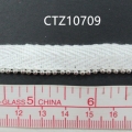 CTZ10709