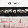CTZ10730