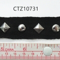 CTZ10731