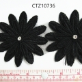 CTZ10736