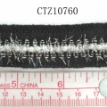 CTZ10760
