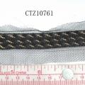 CTZ10761