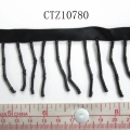 CTZ10780