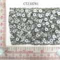 CTZ10781