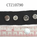 CTZ10790