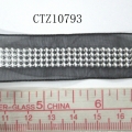 CTZ10793