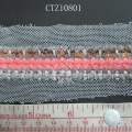 CTZ10801