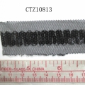 CTZ10813