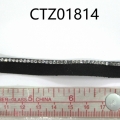 CTZ10814