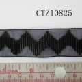 CTZ10825