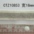 CTZ10853