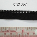 CTZ10861
