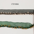 CTZ10866