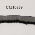CTZ10869