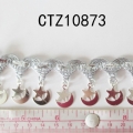 CTZ10873