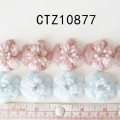 CTZ10877