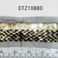 CTZ10880