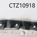 CTZ10918