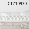 CTZ10930