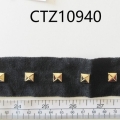CTZ10940