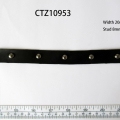 CTZ10953