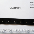CTZ10954