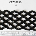 CTZ10956
