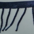 CTZ8029