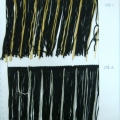 CTZ9018col.1-2