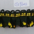 CTZ9643