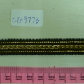 CTZ9773
