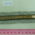 CTZ9780