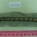 CTZ9781