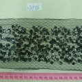 CTZ9796