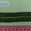 CTZ9801
