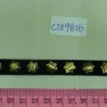 CTZ9806