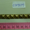 CTZ9839