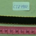 CTZ9900