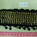 CTZ9901