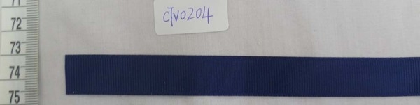 CTV0204