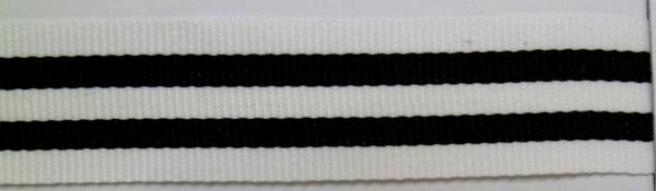 CTV0219
