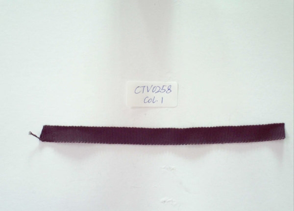 CTV0258
