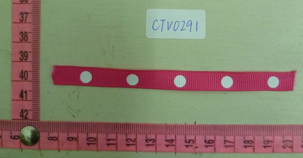 CTV0291