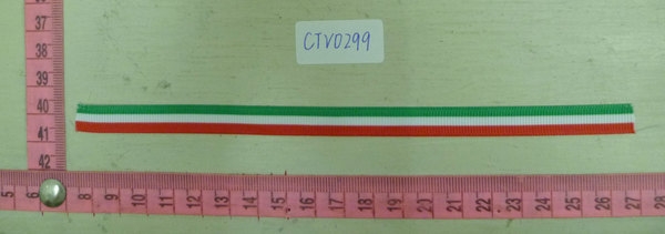 CTV0299