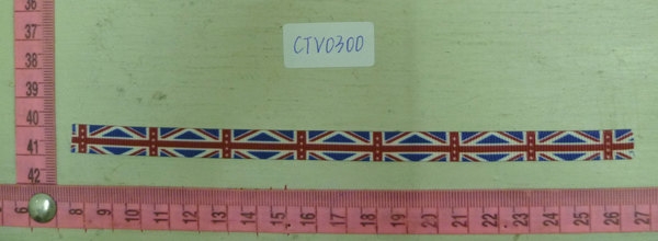CTV0300