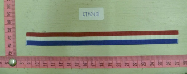 CTV0301