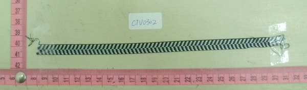 CTV0302