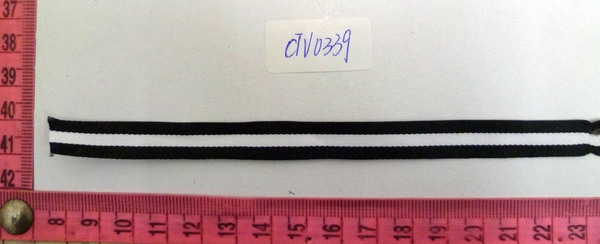CTV0339