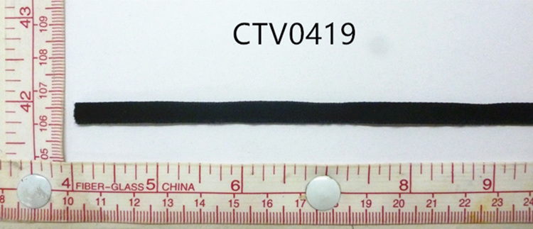 CTV0419