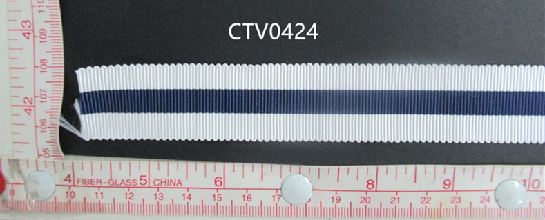 CTV0424